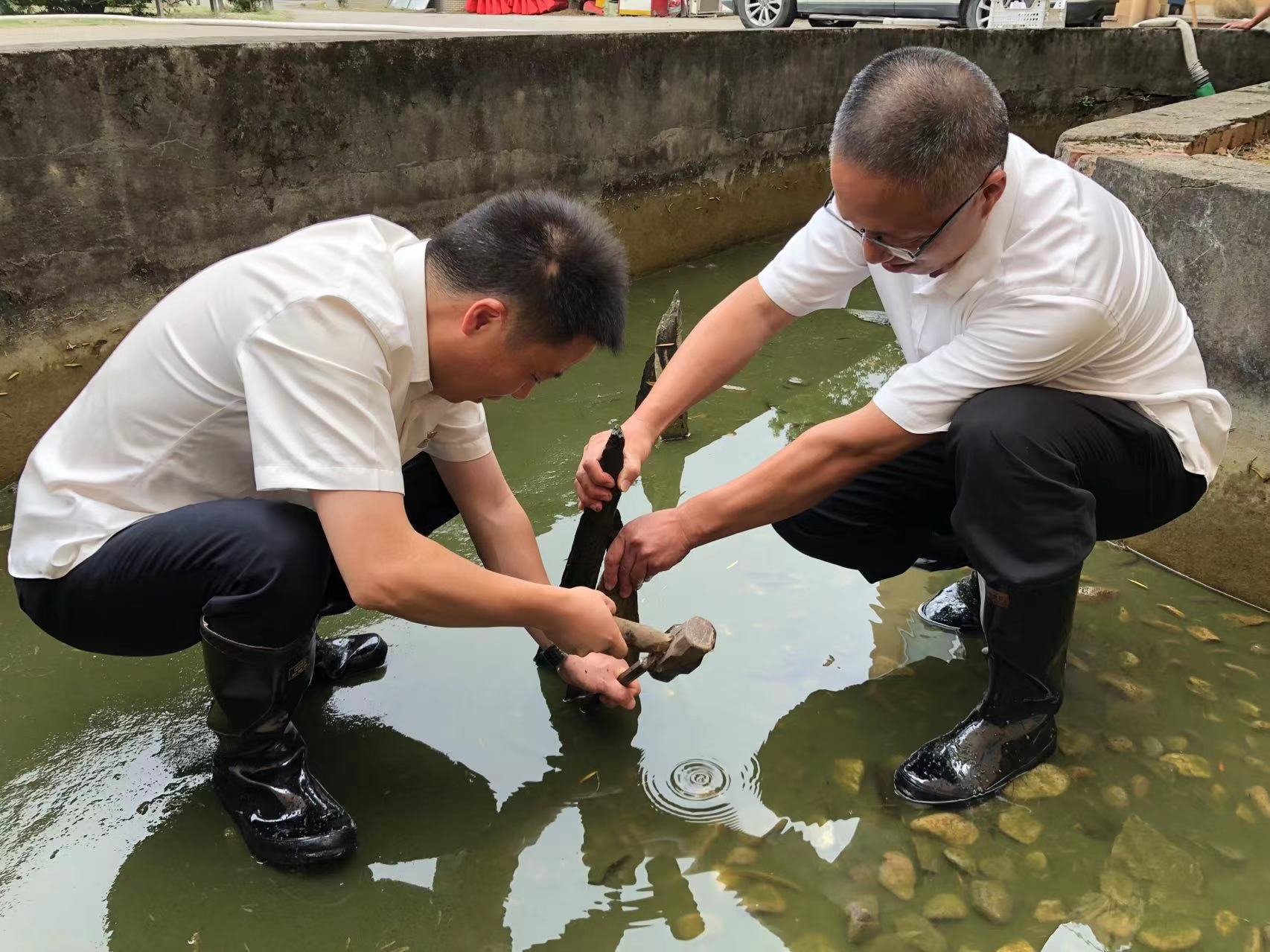 照片4 清理水池石筍 洪清源拍攝.jpg